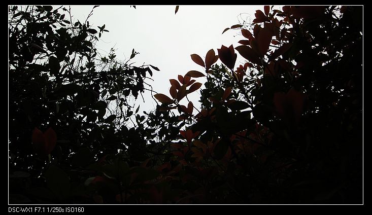 DSC02163.jpg