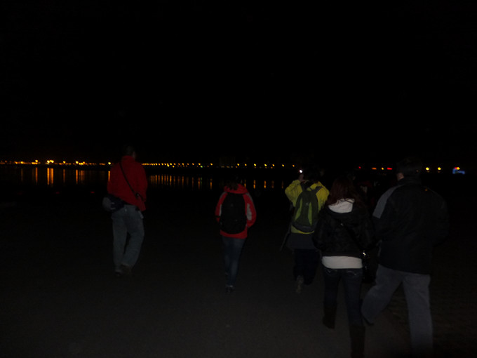 DSCF7933_����.jpg