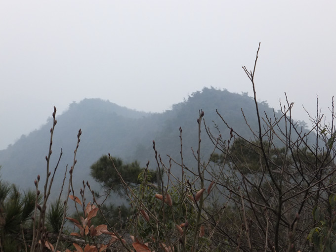 DSCF8089_����.jpg
