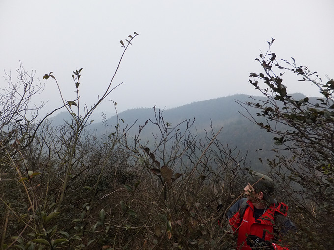 DSCF8127_����.jpg