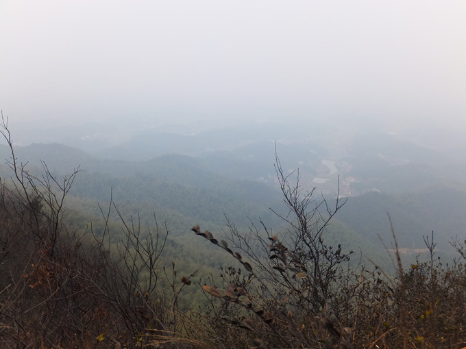 DSCF8137_����.jpg