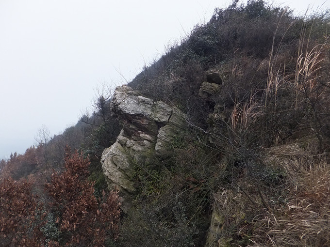 DSCF8147_����.jpg