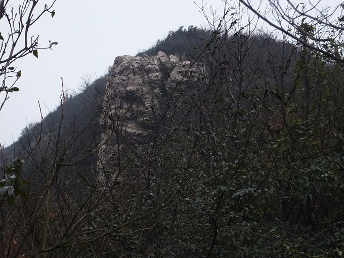 DSCF8179_����.jpg
