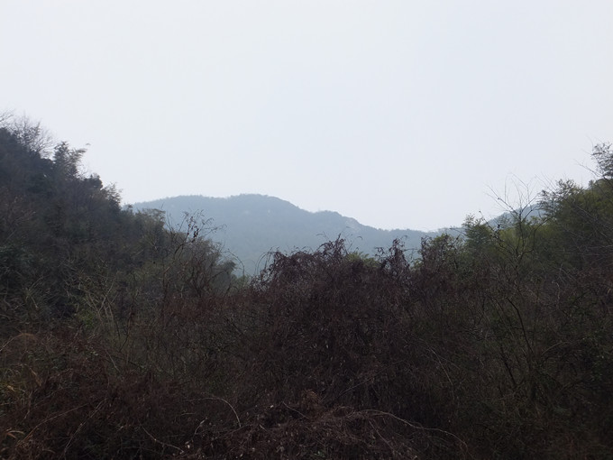 DSCF8189_����.jpg