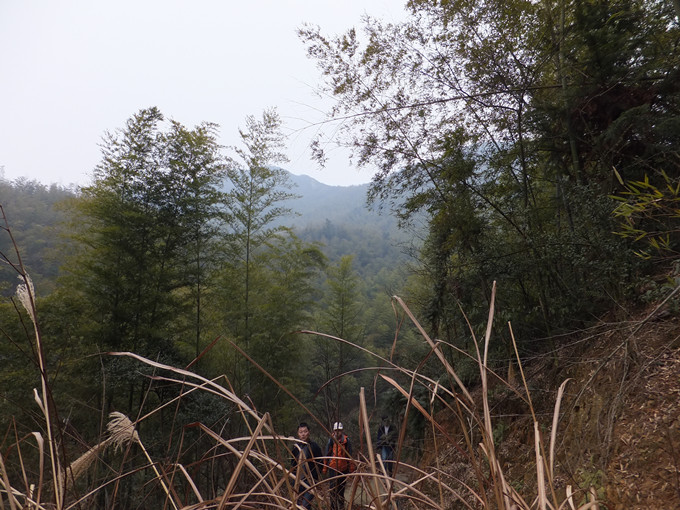 DSCF8200_����.jpg