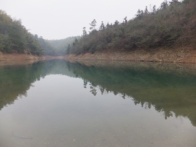 DSCF8194_����.jpg