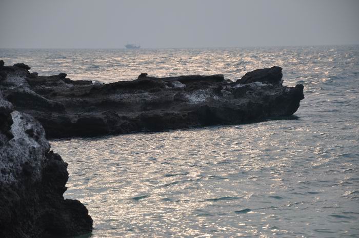������С DSC_0123.JPG