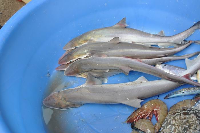 ������С DSC_0389.JPG