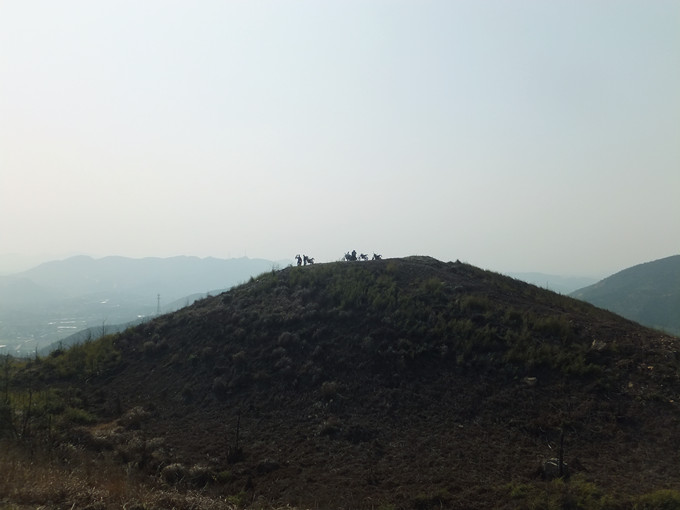 DSCF8727_����.jpg