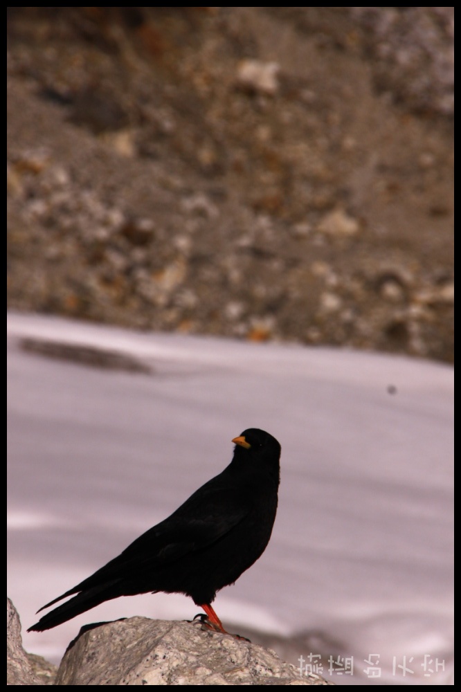 IMG_3204.jpg