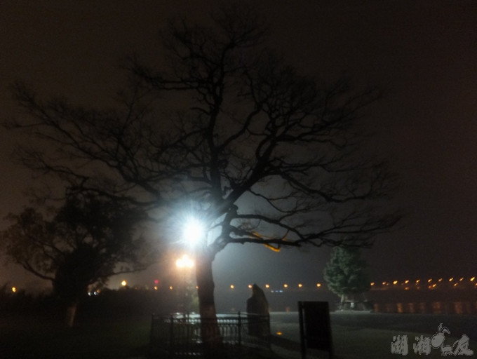 DSCF8872_����.jpg
