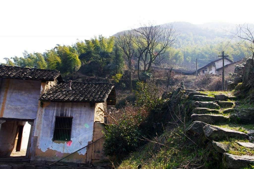 1 (33).jpg