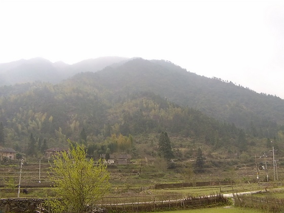 DVCI5374.jpg
