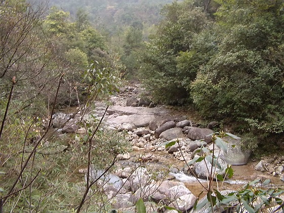 DVCI5387.jpg
