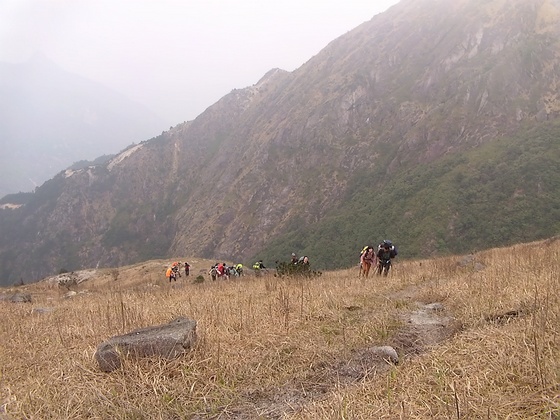 DVCI5410.jpg