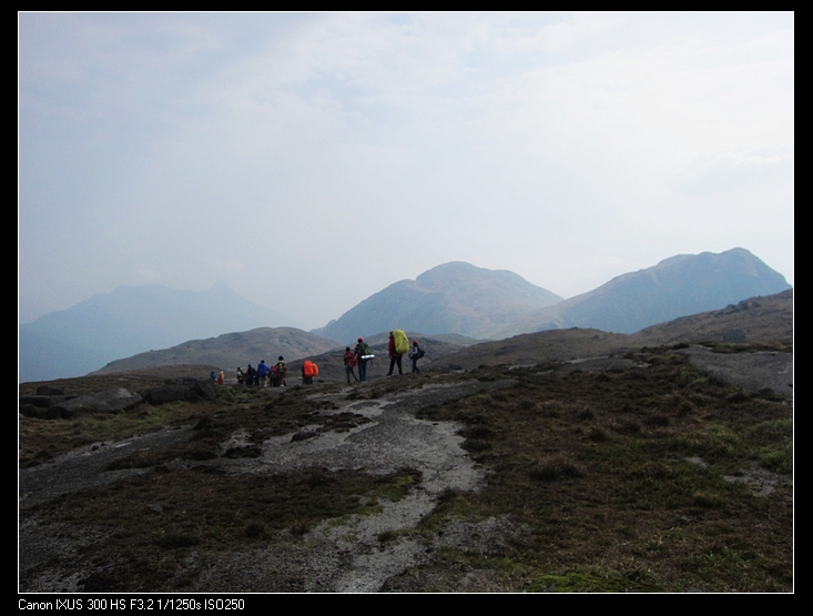 IMG_5367.jpg