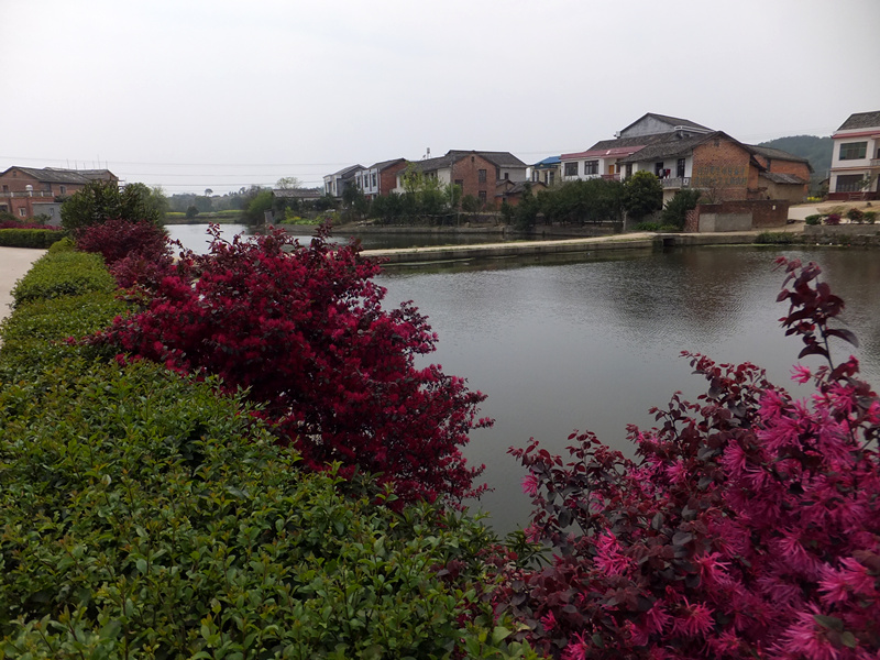 DSCF0353_����.jpg