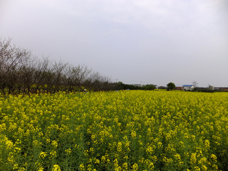 dscf0361_����_����.jpg