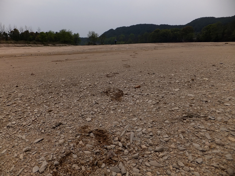 dscf0380_����.jpg