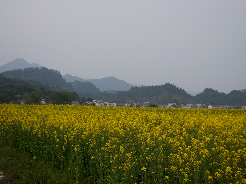 dscf0398_����.jpg