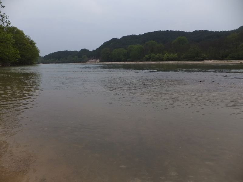 dscf0443_����.jpg
