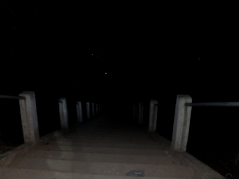dscf0501_����.jpg