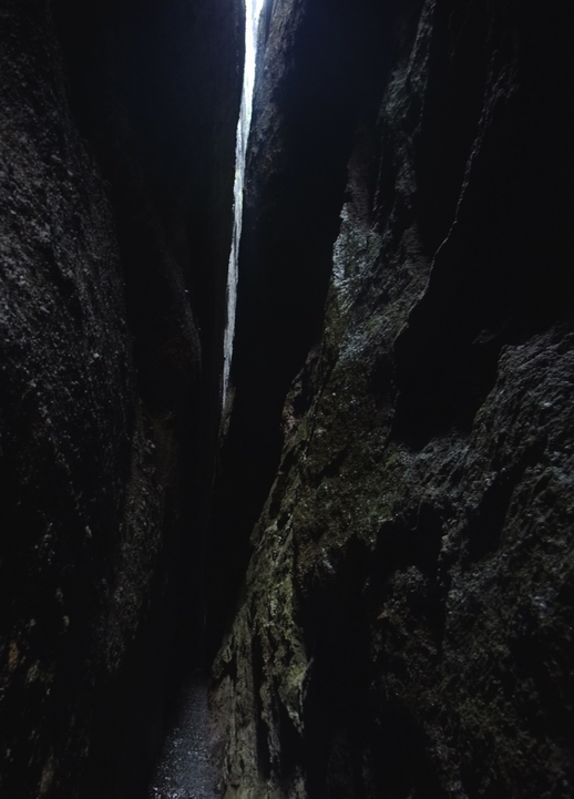 DSCF5737.jpg