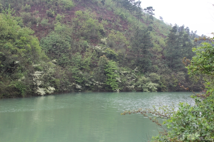 2012.4.14������ͽ�� 001.jpg