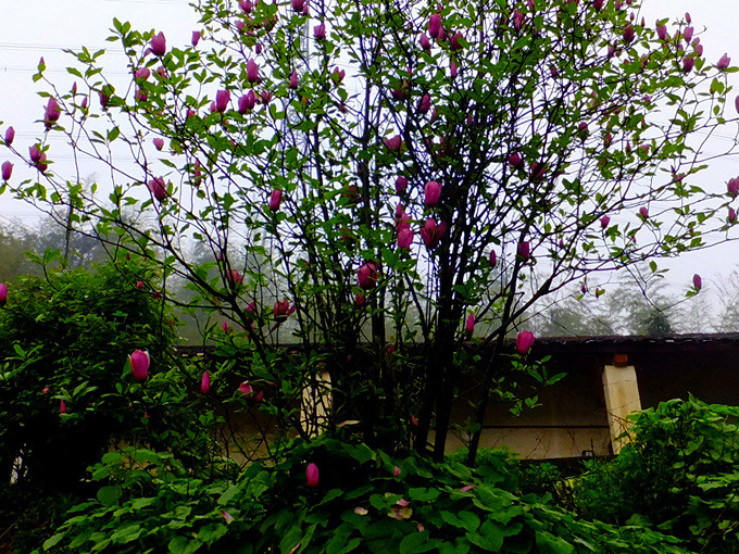 dscf0807_����_����.jpg