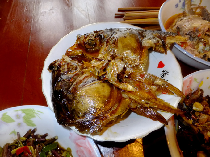 DSCF0859_����.jpg