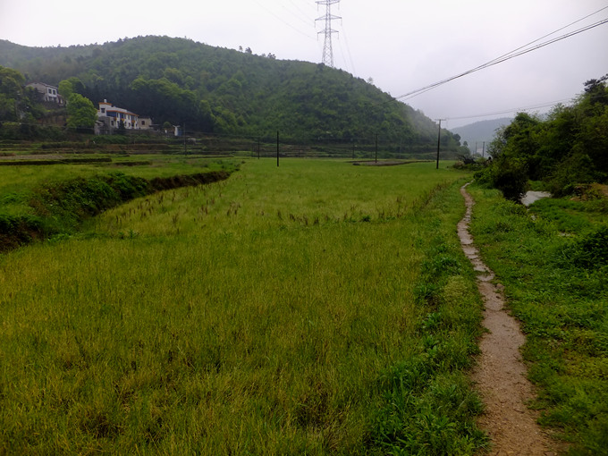 dscf0929_����.jpg