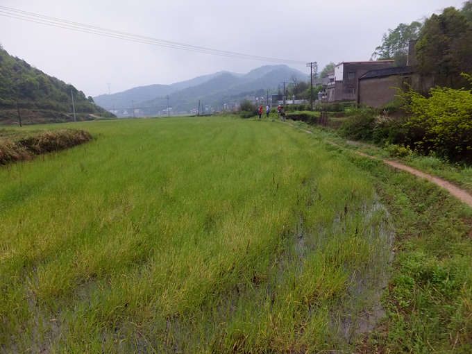 dscf0933_����.jpg