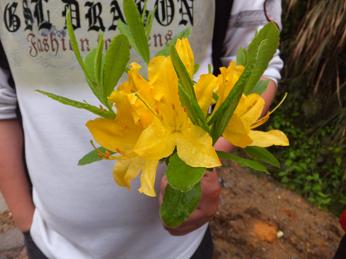dscf0944_����.jpg