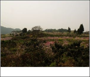 DSCF1834.jpg