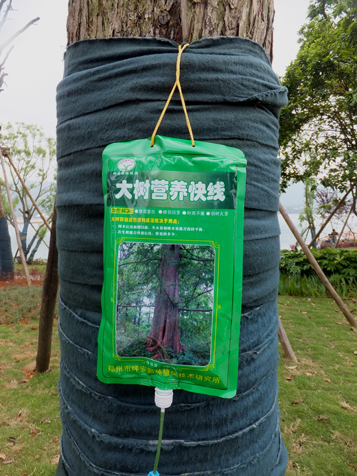 dscf1790_����.jpg