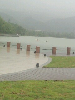 IMG20120501150950.jpg