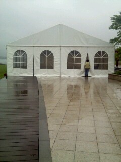 IMG20120501154942.jpg