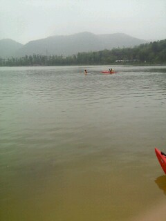 IMG20120501163943.jpg