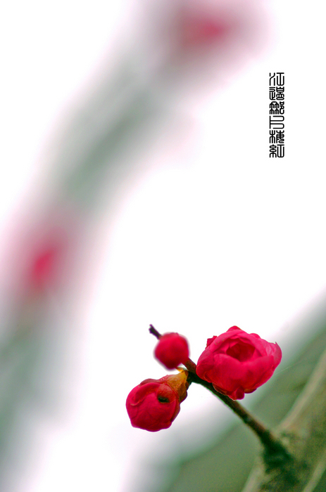 nEO_IMG_DSC_0069����.jpg
