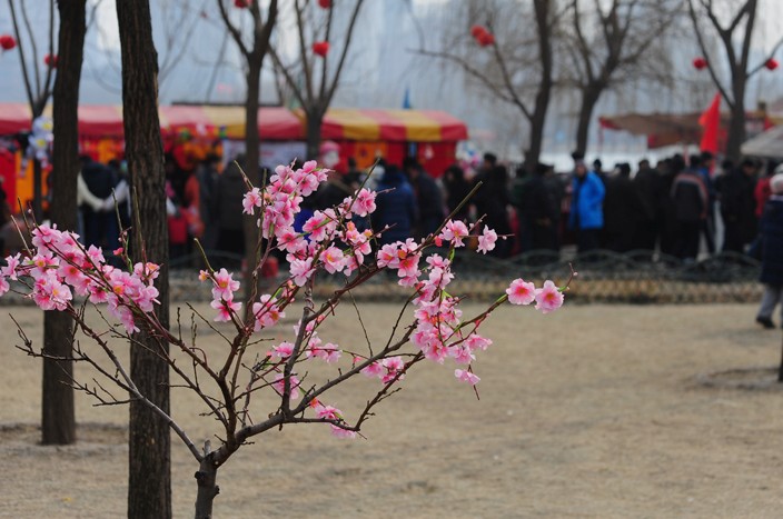 20120323111340.jpg