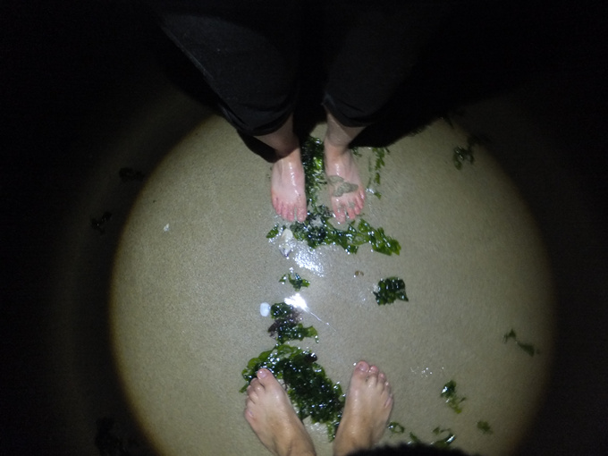 DSCF9244_����.jpg