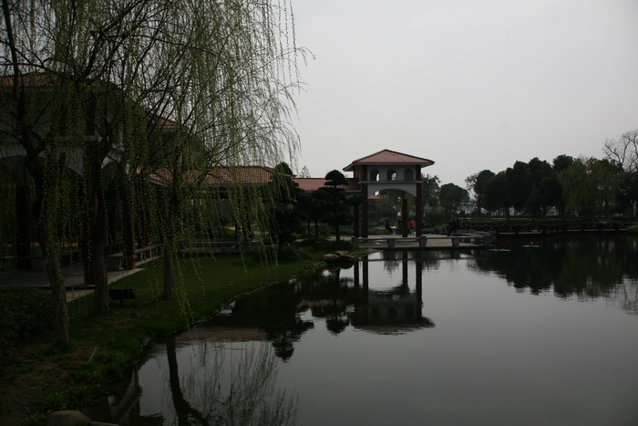 IMG_0861.JPG