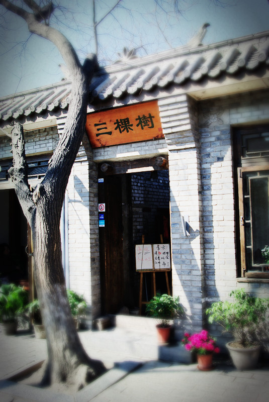 IMGP8127_����.jpg