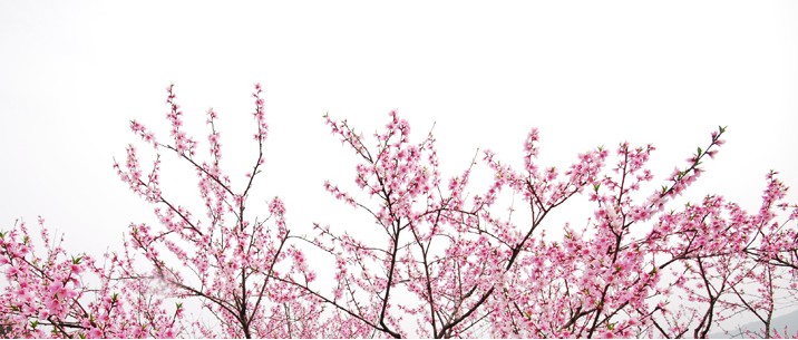 20120328100803.jpg