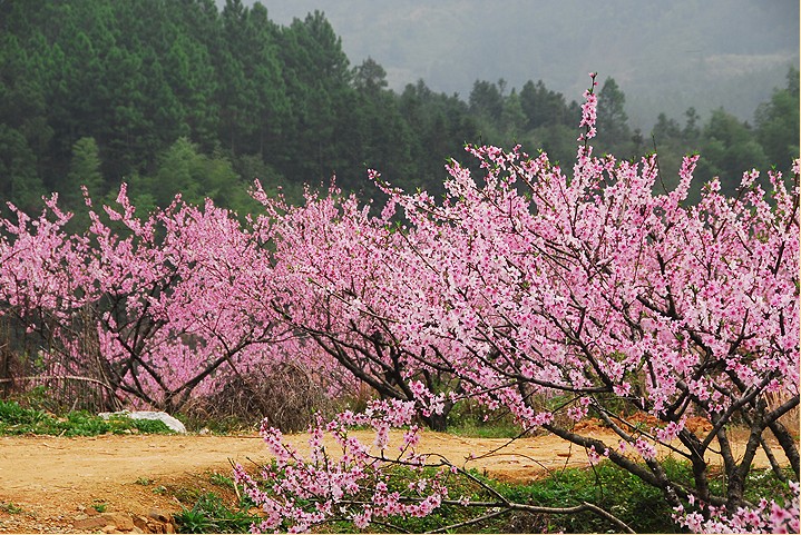 20120328102419.jpg