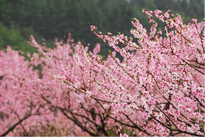 20120328103821.jpg