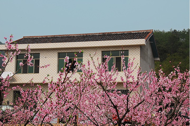 20120328104014.jpg