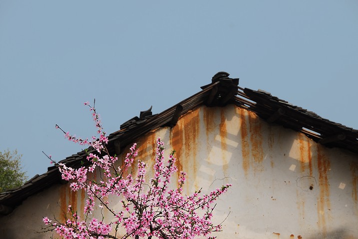 20120328114611.jpg