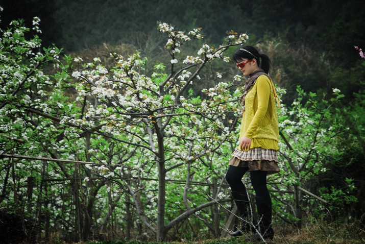20120328114911.jpg