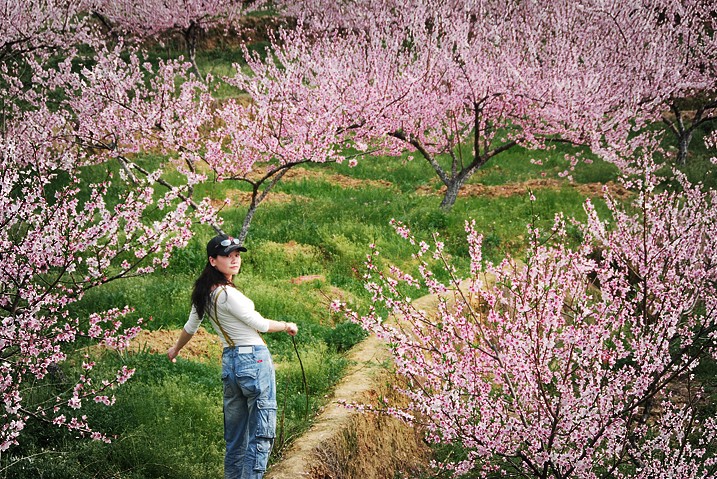 20120328115207.jpg